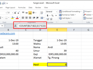 Cara Menggunakan Fungsi COUNT pada Excel - 2 value