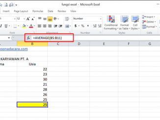 Cara Mengunakan Fungsi Average pada Excel - 1 rentang sel